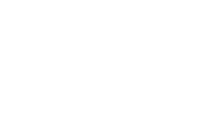 STELLARIO